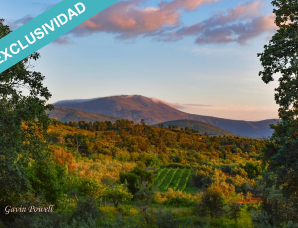 Un lienzo en blanco. Casa de de pueblo de 212m2 para reformar en plena Sierra de Gata.