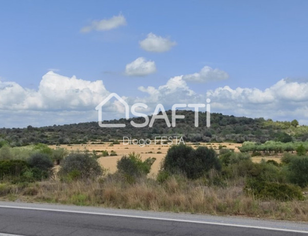 Terreno Rustico de 66,722 m2 Parcela con Caseta