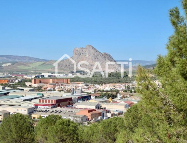 Finca con 50 hectáreas de terreno, cortijo con agua y electricidad cerca del centro de Antequera - atención inversores