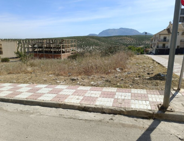 SE VENDE SOLAR URBANO EN MANCHA REAL.