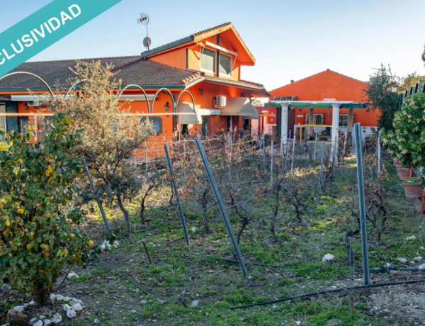 Finca de olivar con cortijo de lujo en Vilches