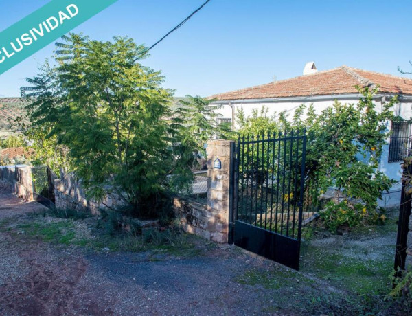 Rustic land For sell in Navas De San Juan in Jaén 