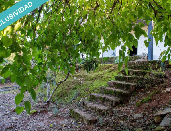 Rustic land For sell in Navas De San Juan in Jaén 