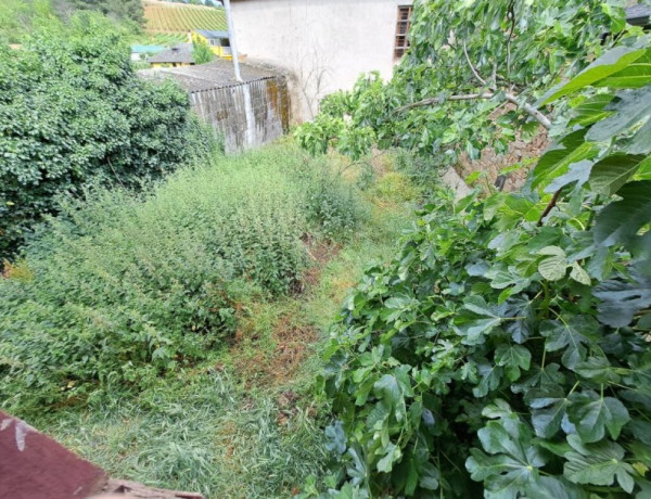 Casa de piedra para restaurar con corredor y jardín.