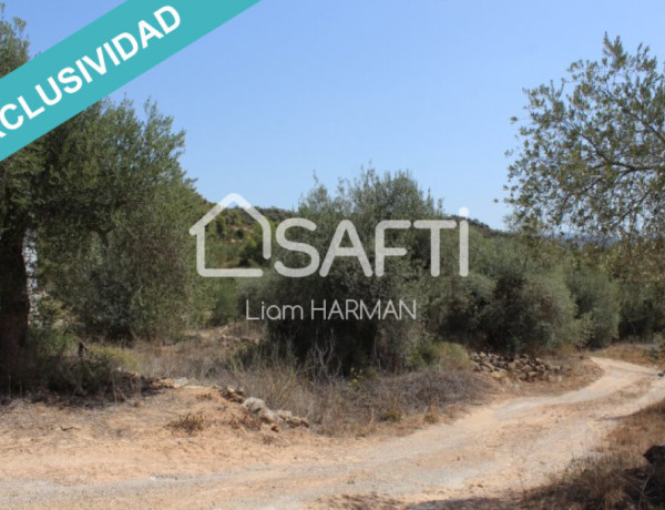 Rustic land For sell in Bovera in Lleida 