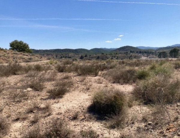 Urban land For sell in Cehegin in Murcia 