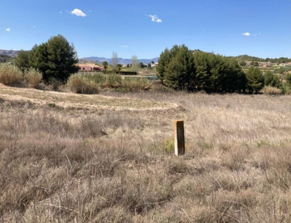 Gran ocasión: Maravilloso terreno donde vivir o cultivar