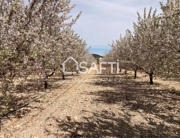 Increible finca en un paraje incomparable