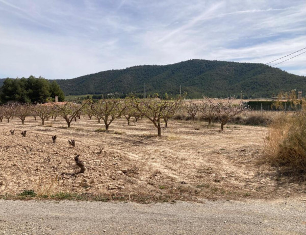 Increible finca en un paraje incomparable