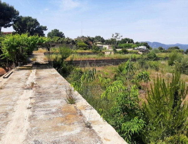 Rustic land For sell in Sagunto in Valencia 