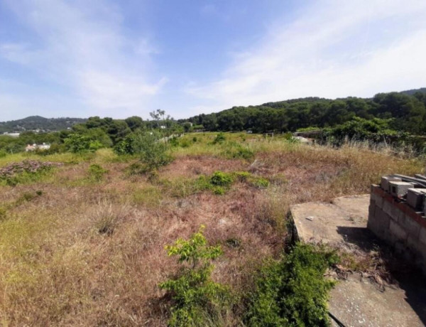 Rustic land For sell in Sagunto in Valencia 