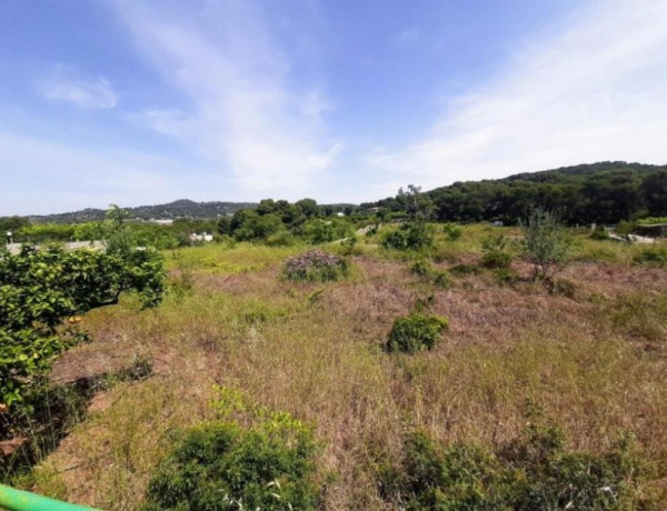 Rustic land For sell in Sagunto in Valencia 