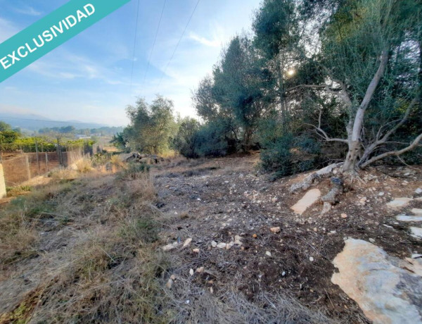 Terreno rústico con acciones de agua en excelente ubicación