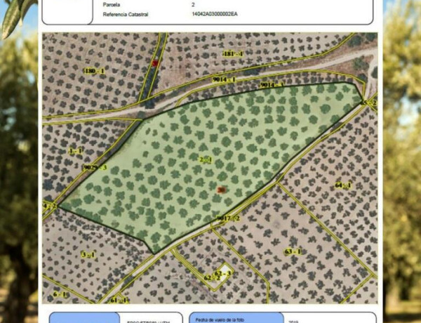 Dos Fincas Excepcionales en Montilla: Oportunidad Única para Inversores