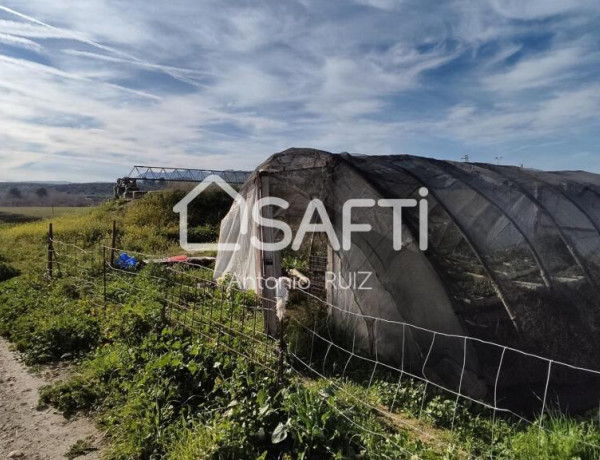 Granja con terreno de unos 20.000 m² y posibilidad de concesión de 200 ha de pastos. Zona Donadio. SIN COMISIÓN DE COMPRA..