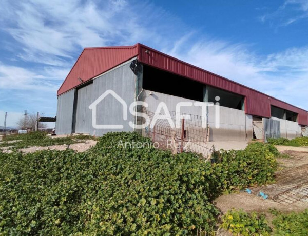 Granja con terreno de unos 20.000 m² y posibilidad de concesión de 200 ha de pastos. Zona Donadio. SIN COMISIÓN DE COMPRA..