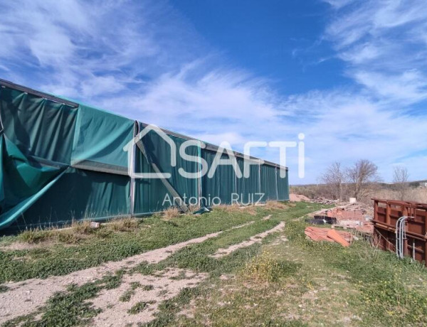 Granja con terreno de unos 20.000 m² y posibilidad de concesión de 200 ha de pastos. Zona Donadio. SIN COMISIÓN DE COMPRA..