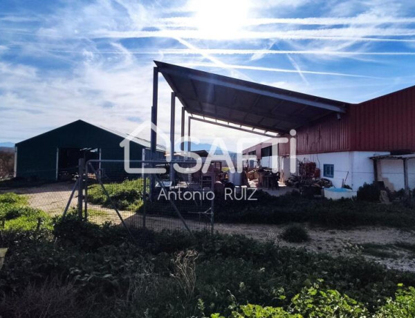 Granja con terreno de unos 20.000 m² y posibilidad de concesión de 200 ha de pastos. Zona Donadio. SIN COMISIÓN DE COMPRA..