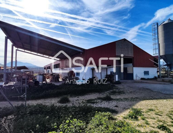 Granja con terreno de unos 20.000 m² y posibilidad de concesión de 200 ha de pastos. Zona Donadio. SIN COMISIÓN DE COMPRA..