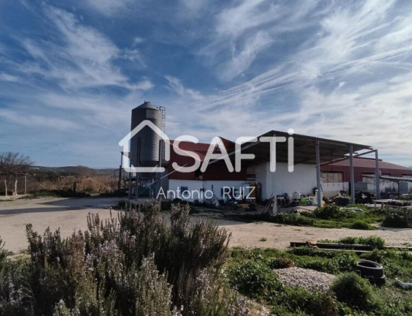 Granja con terreno de unos 20.000 m² y posibilidad de concesión de 200 ha de pastos. Zona Donadio. SIN COMISIÓN DE COMPRA..