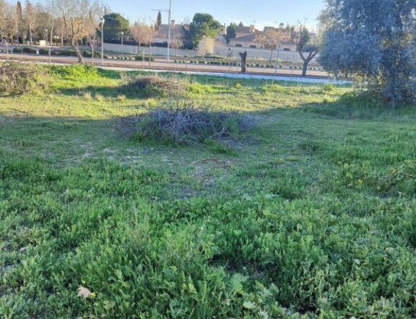 Ultimas parcelas en Urbanización La Hacienda de Cobisa, directo desde el Promotor.