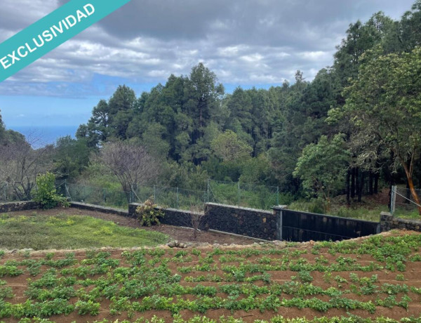 Finca rústica vallada y amurada con piedra natural.