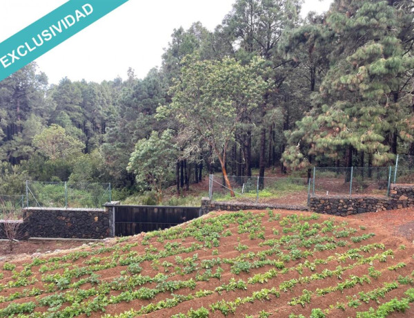 Finca rústica vallada y amurada con piedra natural.