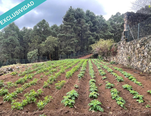 Finca rústica vallada y amurada con piedra natural.