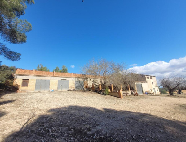 EXCELENTE OPORTUNIDAD!. FINCA AGRICOLA EN ONTINYENT CON GRAN VIVIENDA RENOVADA