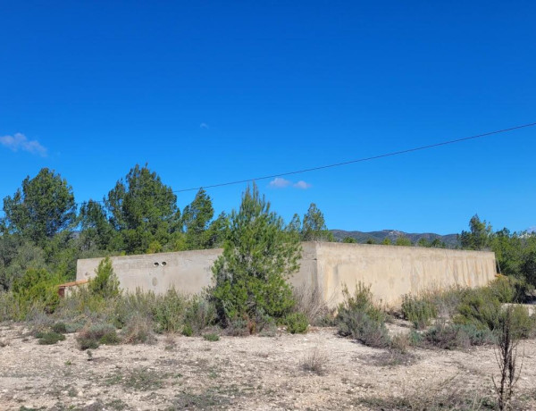 EXCELENTE OPORTUNIDAD!. FINCA AGRICOLA EN ONTINYENT CON GRAN VIVIENDA RENOVADA