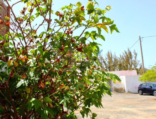 Rustic land For sell in Tuineje in Las Palmas 