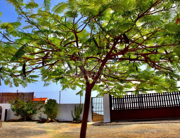 Rustic land For sell in Tuineje in Las Palmas 