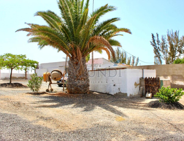 Rustic land For sell in Tuineje in Las Palmas 