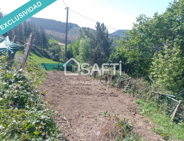 Se vende caserío con terreno agrícola y pinar en Baranbio