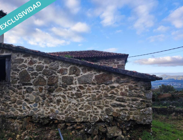 Precio negocialble! Un paseo a orillas del Río Ulla. Un Arboleda de 7000 metros2 con preciosa casa de piedra para restaurar.