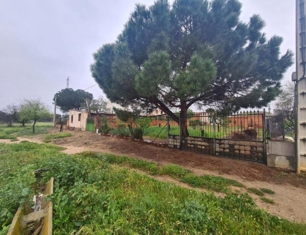 Casa independiente en barrio de AZUCAICA