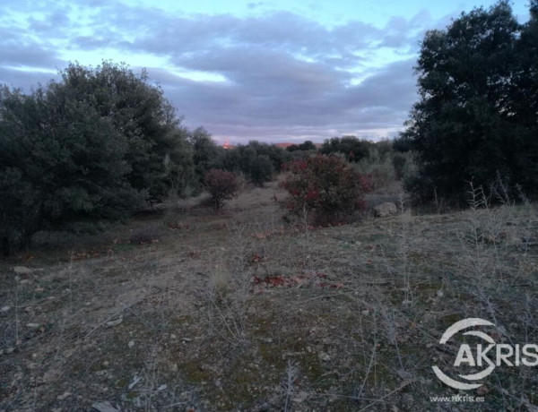 Parcelas Urbanas en Montesión