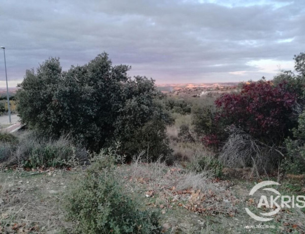 Parcelas Urbanas en Montesión