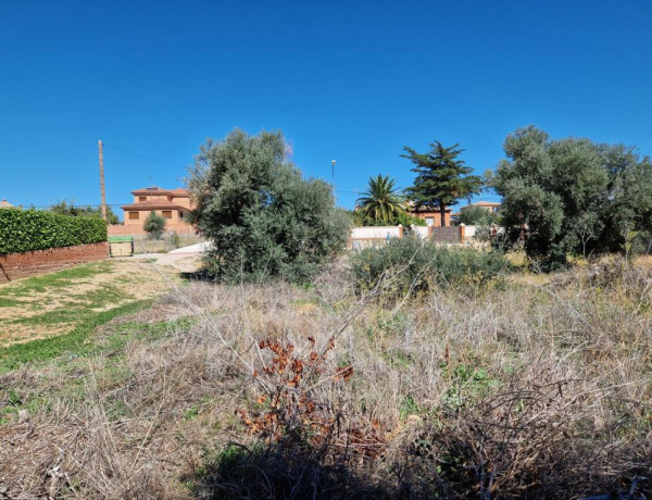 TERRENO URBANO EN ARGÉS