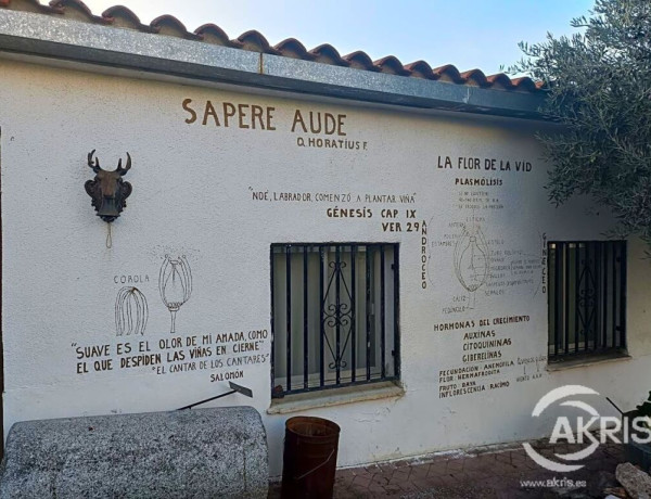 Casa adosada con bodega