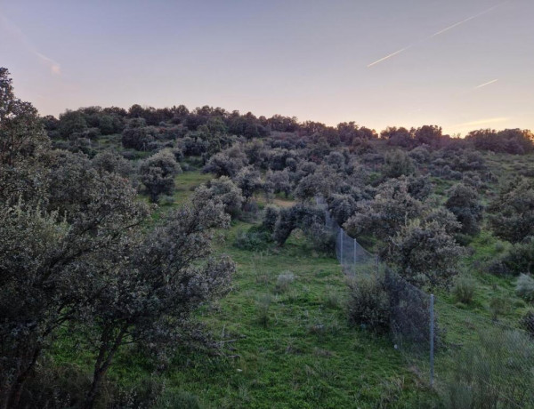 PARCELA EN SAN BERNARDO