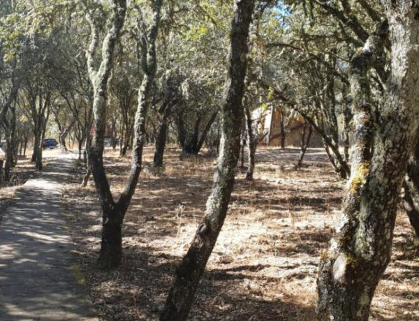 Venta de Hotel Ecológico (Ecolodge) en Parque Nacional.