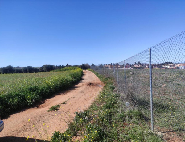 PARCELA VALLADA EN LA MEJOR ZONA DE BURGUILLOS