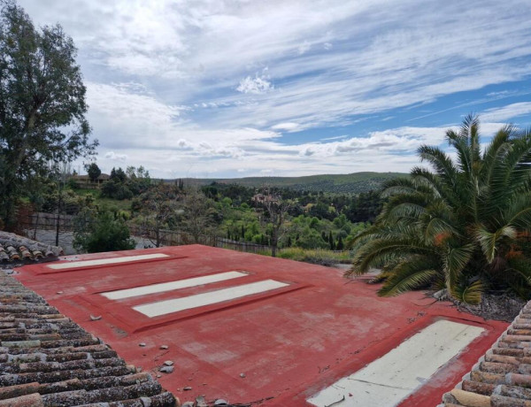 CIGARRAL EN LA ZONA DE LA POZUELA