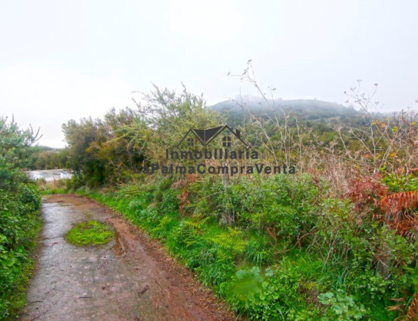 Casa-Chalet en Venta en Llano Negro Santa Cruz de Tenerife 