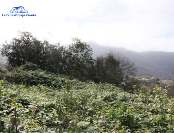 Suelo rústico en Venta en Realejo Alto Santa Cruz de Tenerife 