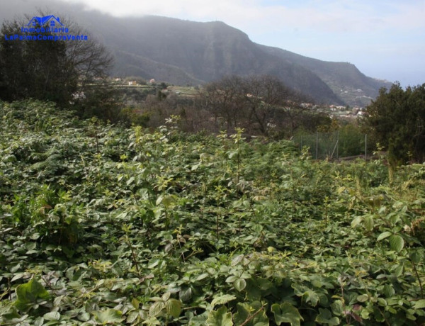 Suelo rústico en Venta en Realejo Alto Santa Cruz de Tenerife 