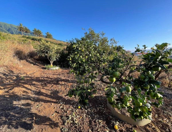 Casa-Chalet en Venta en Breña Alta Santa Cruz de Tenerife 