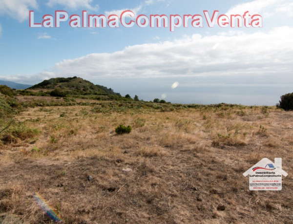 Land being developed For sell in Villa De Mazo in Santa Cruz de Tenerife 