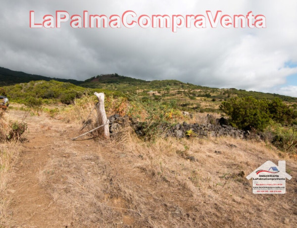 Land being developed For sell in Villa De Mazo in Santa Cruz de Tenerife 